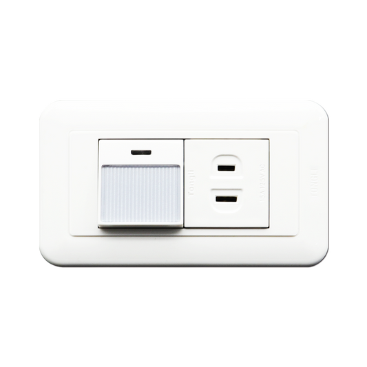 條紋開關一接地插座組