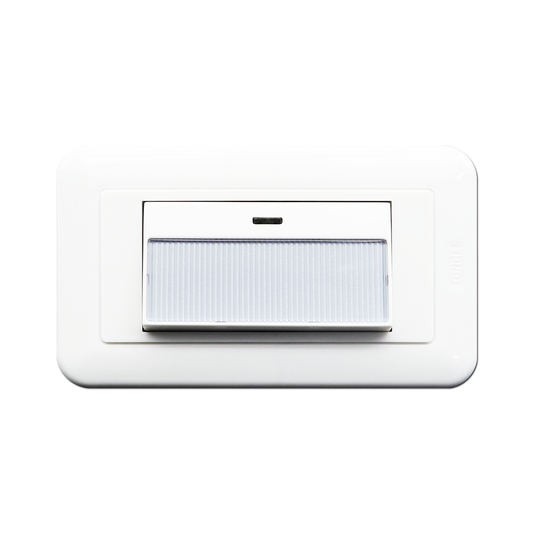 條紋大型夜光單開關組