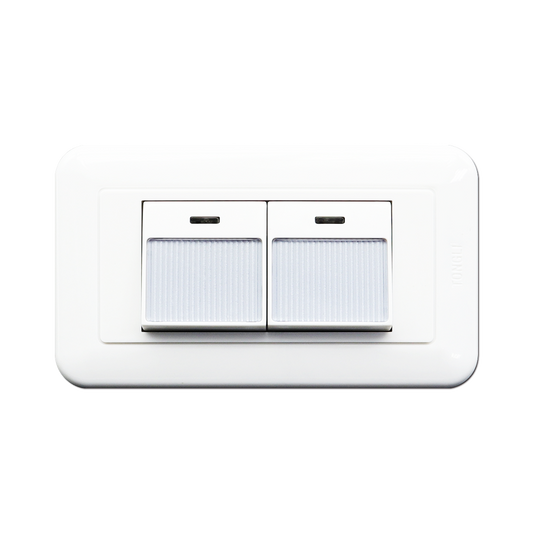 條紋大型夜光雙開關組