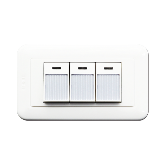 條紋大型夜光三開關組