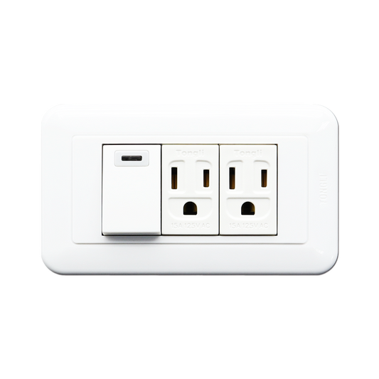 雅白型一開關二接地插座